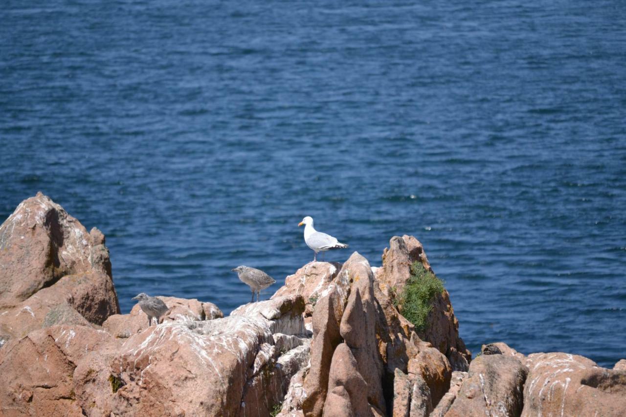Gite De La Marina Dans La Presqu'Ile De 莱扎德里约 外观 照片